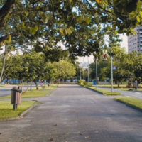 Parque Ramiro Ruediger (Foto: Morgana Kloth / Portal da Cidade Bluemenau)