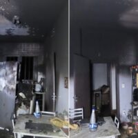 Gato resgatado após incêndio destruir cozinha de apartamento em Blumenau