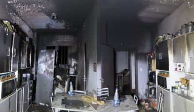 Gato resgatado após incêndio destruir cozinha de apartamento em Blumenau