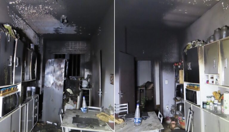 Gato resgatado após incêndio destruir cozinha de apartamento em Blumenau