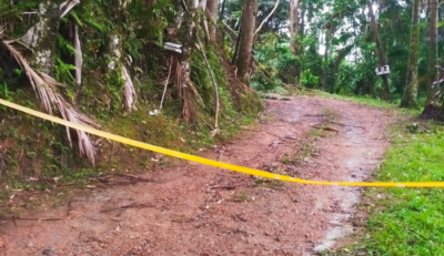Idoso morre depois de ser atingido por queda de árvore em Pomerode