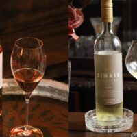 Mozart Garibaldi e Reims: A Revolução das Taças para Champagnes Premium Além da Flute Tradicional 