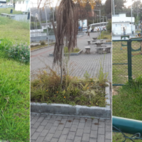 Mato alto e falta de manutenção geram reclamações em parquinho do Água Verde