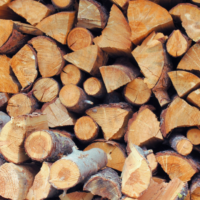 Há 92 anos: madeireiros do Vale do Itajaí discutiam preço da madeira