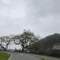 Instabilidade retorna e provoca pancadas isoladas com trovoadas nesta segunda