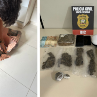 Homem é preso com quase 800 g de maconha no Centro de Blumenau