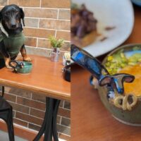 Cafeteria temática inspirada em salsichas vira atração em Pomerode