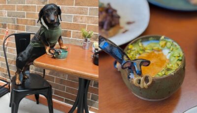 Cafeteria temática inspirada em salsichas vira atração em Pomerode