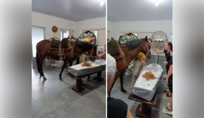 Num registro emocionante, égua Nina relincha ao se despedir de Tio Pedro