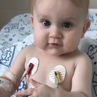 Após meses na fila, bebê de Blumenau passa por transplante de coração no Paraná