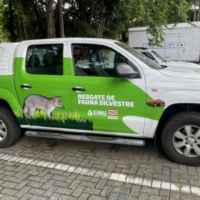 Blumenau cria programas para resgatar animais silvestres e mapear atropelamentos