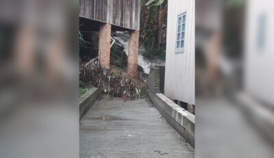 “Cachoeira”: moradores relatam alagamentos constantes após obra em rua de Blumenau