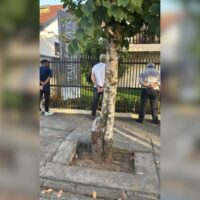 Trio é preso em flagrante usando documento falso em cartório de Timbó