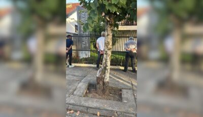 Trio é preso em flagrante usando documento falso em cartório de Timbó