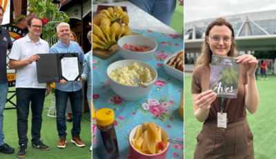Frühstück vira patrimônio de Blumenau e cidade aposta em turismo de natureza e fotografia