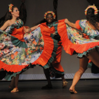 Feriadão tem festivais, música, cultura e eventos de graça em Blumenau