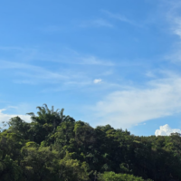 Segunda-feira terá manhã com nevoeiro e tarde de tempo firme