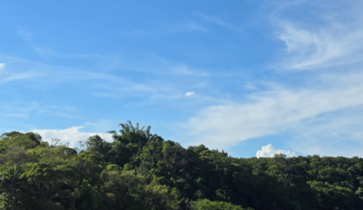 Segunda-feira terá manhã com nevoeiro e tarde de tempo firme