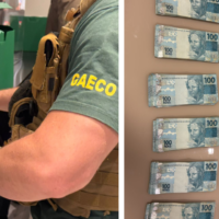 Blumenau terá comissões para auditar contratos investigados pelo GAECO