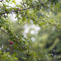 Sábado de chuva fraca em Blumenau e região