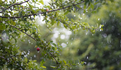 Sábado de chuva fraca em Blumenau e região