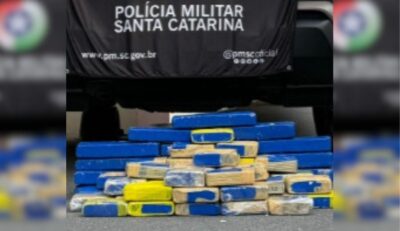 Mais de 31 kg de maconha são encontrados em distribuidora de encomendas em Blumenau