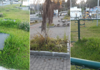 Registros do local - Foto: Edmilson Luis / Rádio 106