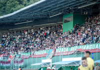 Imagem ilustrativa da torcida do BEC - Foto: @richardferrarifotos / Reprodução
